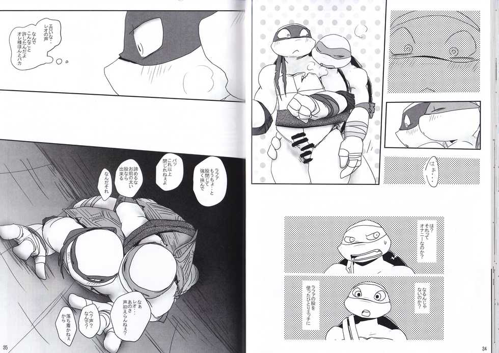 [ラファエロ] 気づいた時には (Teenage Mutant Ninja Turtles) - Page 17