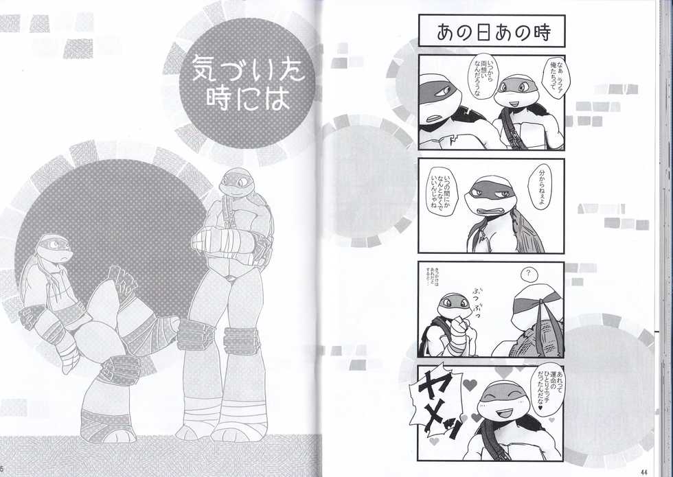 (SPARK12)  [(Kabu) Rafaelo Kantou Shibu (Mochocho)] Kizuita Toki ni wa (Teenage Mutant Ninja Turtles) - Page 22