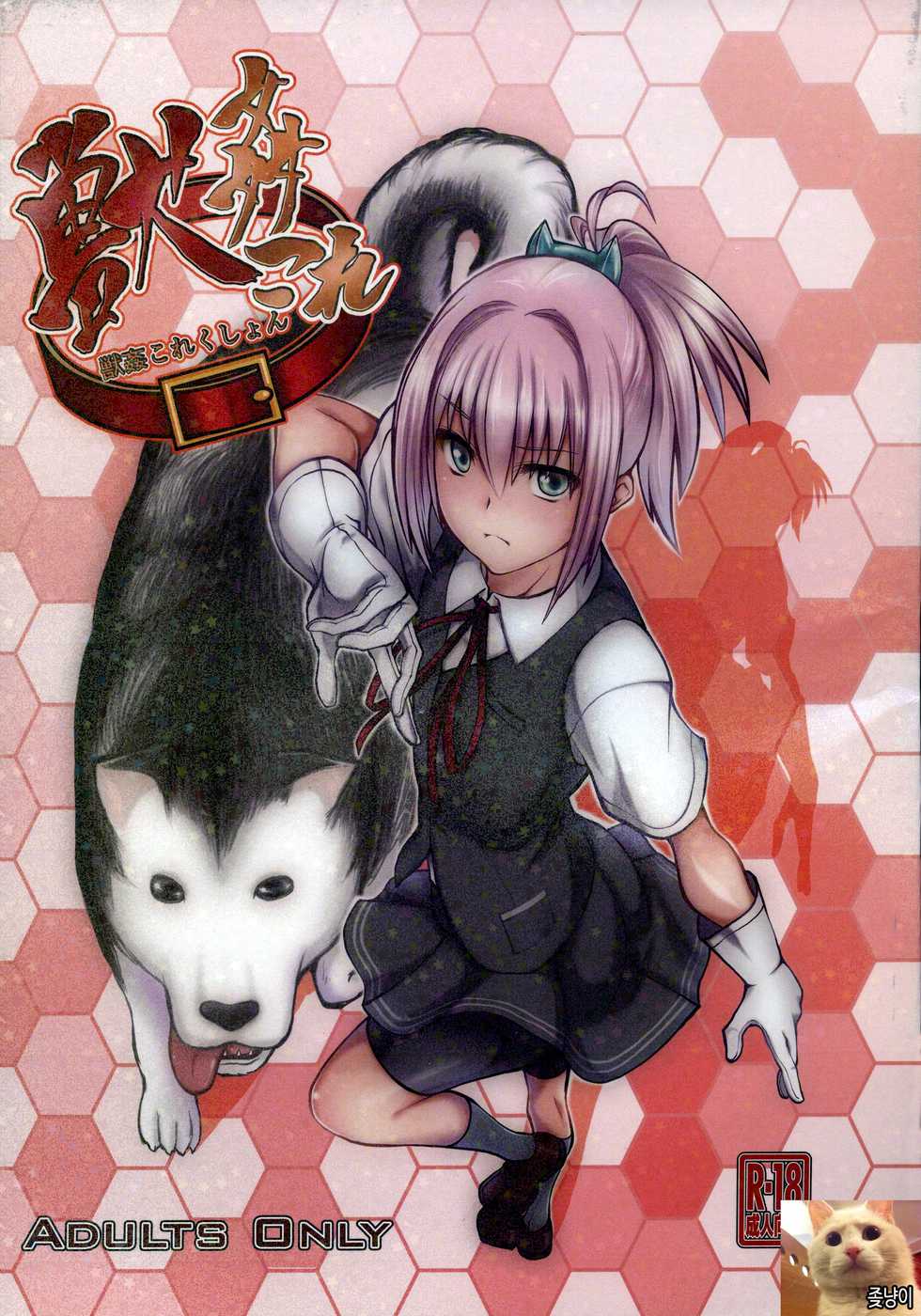 (SC61) [Zensoku Rider (Tenzen Miyabi)] Juukan Collection (Kantai Collection -KanColle-) [Korean] [좆냥이] - Page 1