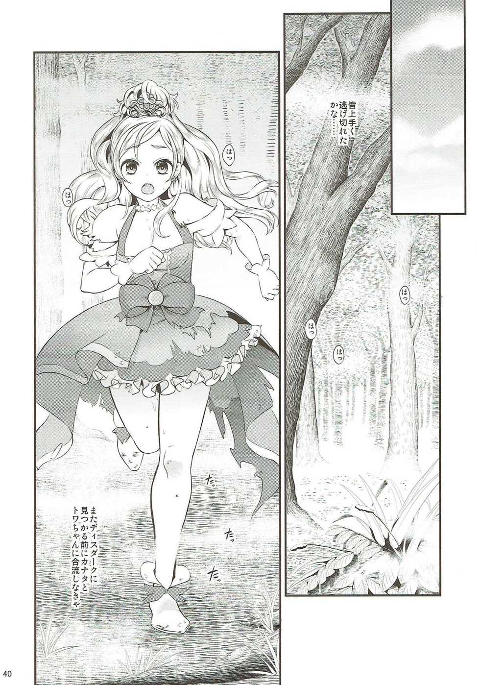 (C93) [Yamada Ichizoku. (Mokyu, Fukurokouji)] Seidorei Senki Soushuuhen (Go! Princess PreCure) - Page 38