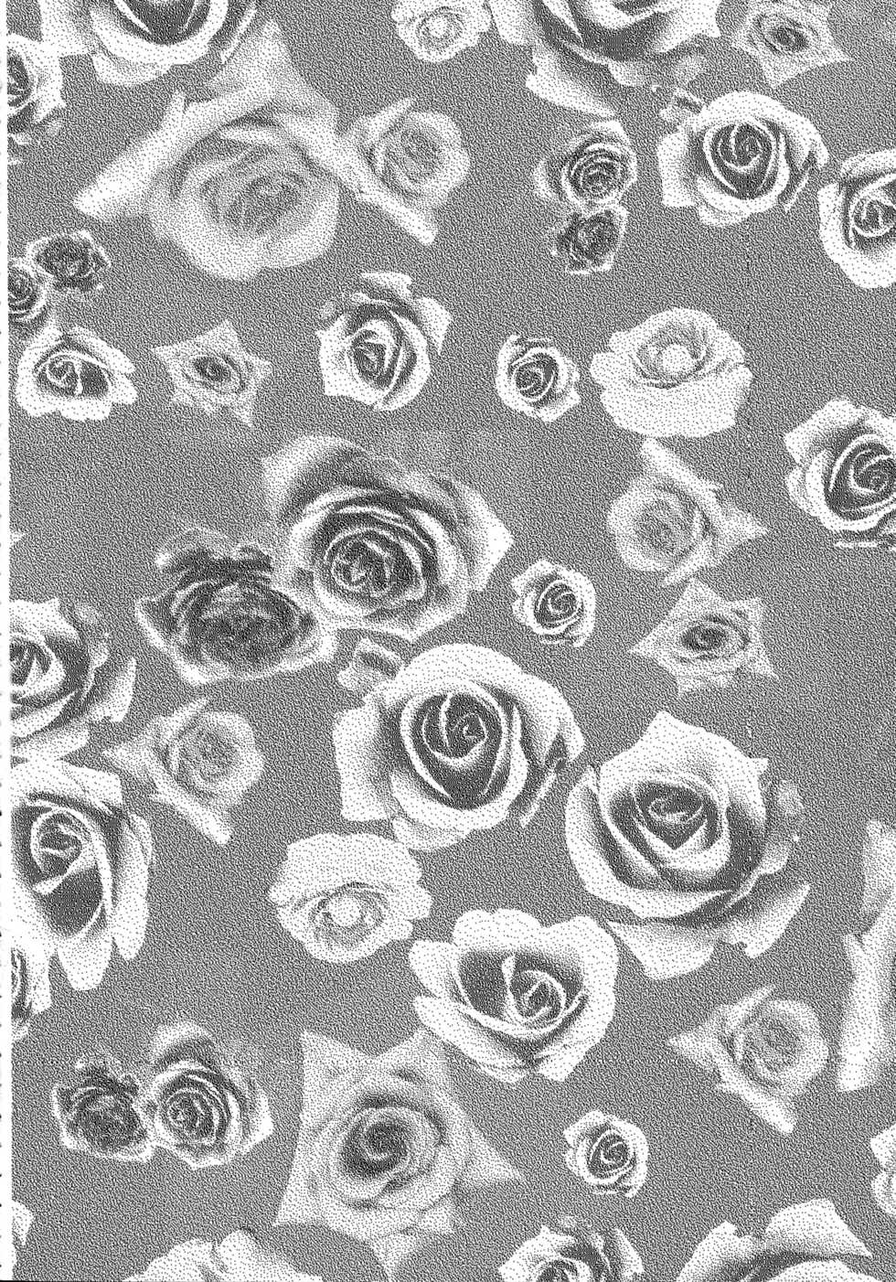 (C83) [Pocket Drop (Nekono Renge)] Later Years (Pokemon Mystery Dungeon) - Page 3