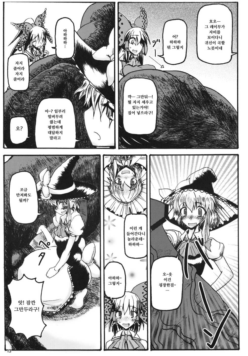 (C80) [Cave (Hachi)] Animal Lover (Touhou Project) [Korean] - Page 13