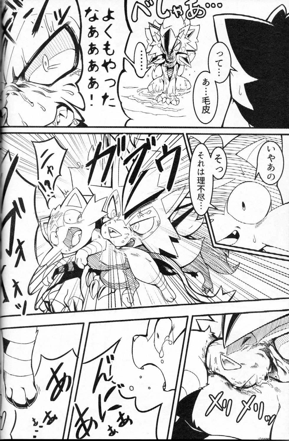 (C93) [Odoshiro Canvas (Various)] DOGDAY! (Pokémon) - Page 13