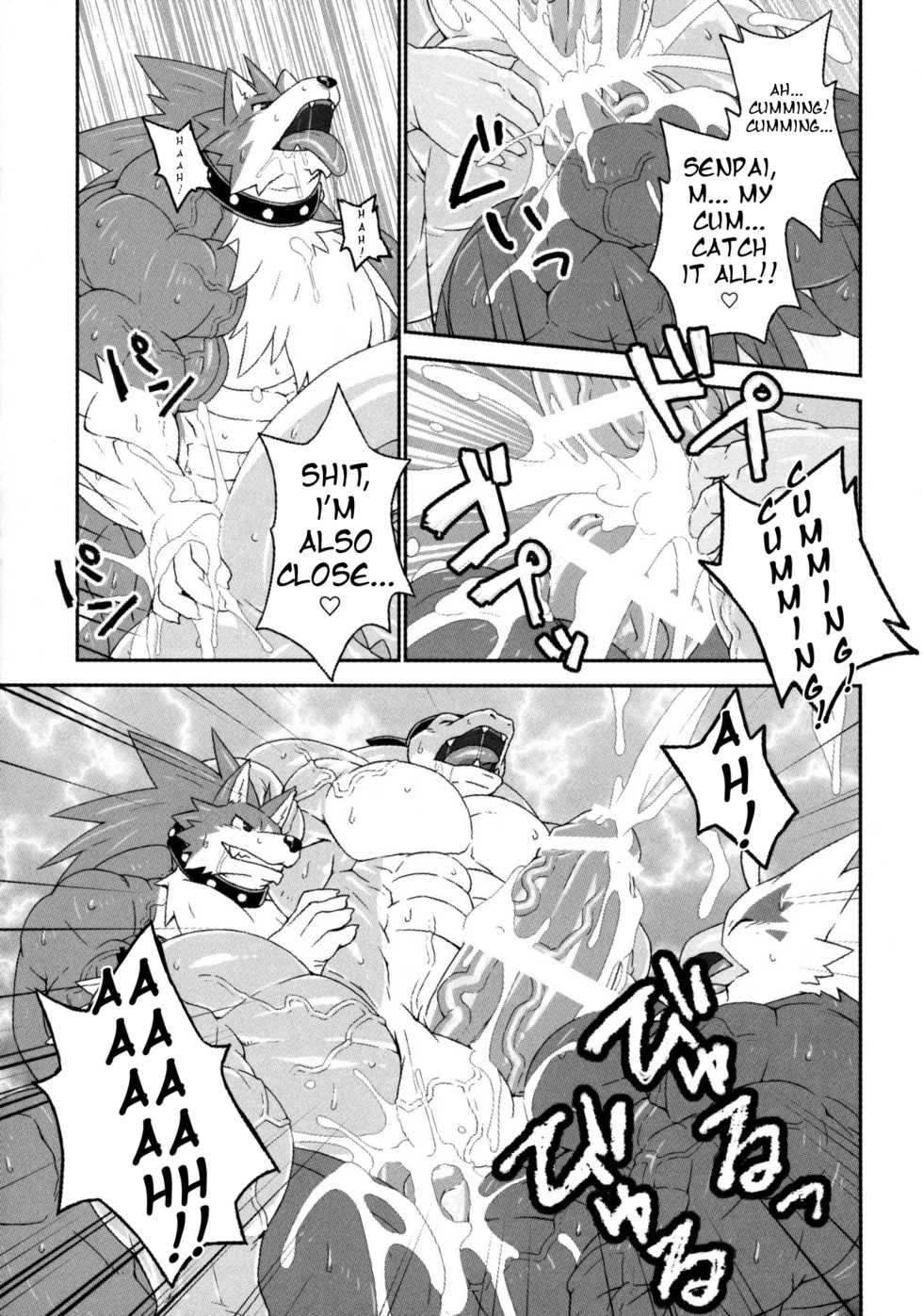 (Kemoket 4) [Dragon Island (Kuroma)] Pirates Paradise 2 [English] [Incomplete] - Page 11