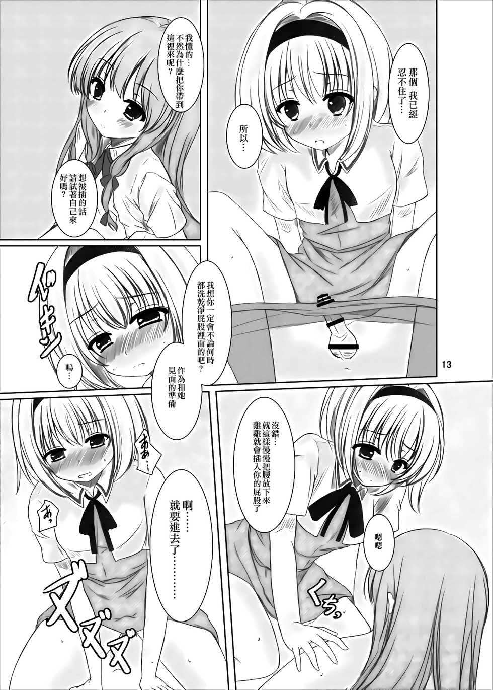 [Aki no Yonaga ni Yoiyami ni (Nagatsuki Rio)] Manupilate puppet (Touhou Project) [Chinese] [EZR個人漢化] [Digital] - Page 12