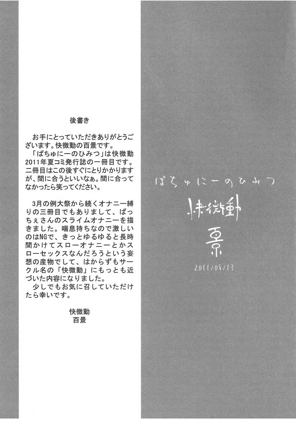 (C80) [kaibido (mokei)] Pachunii no Himitsu (Touhou Project) [Chinese] [靴下汉化组] - Page 17