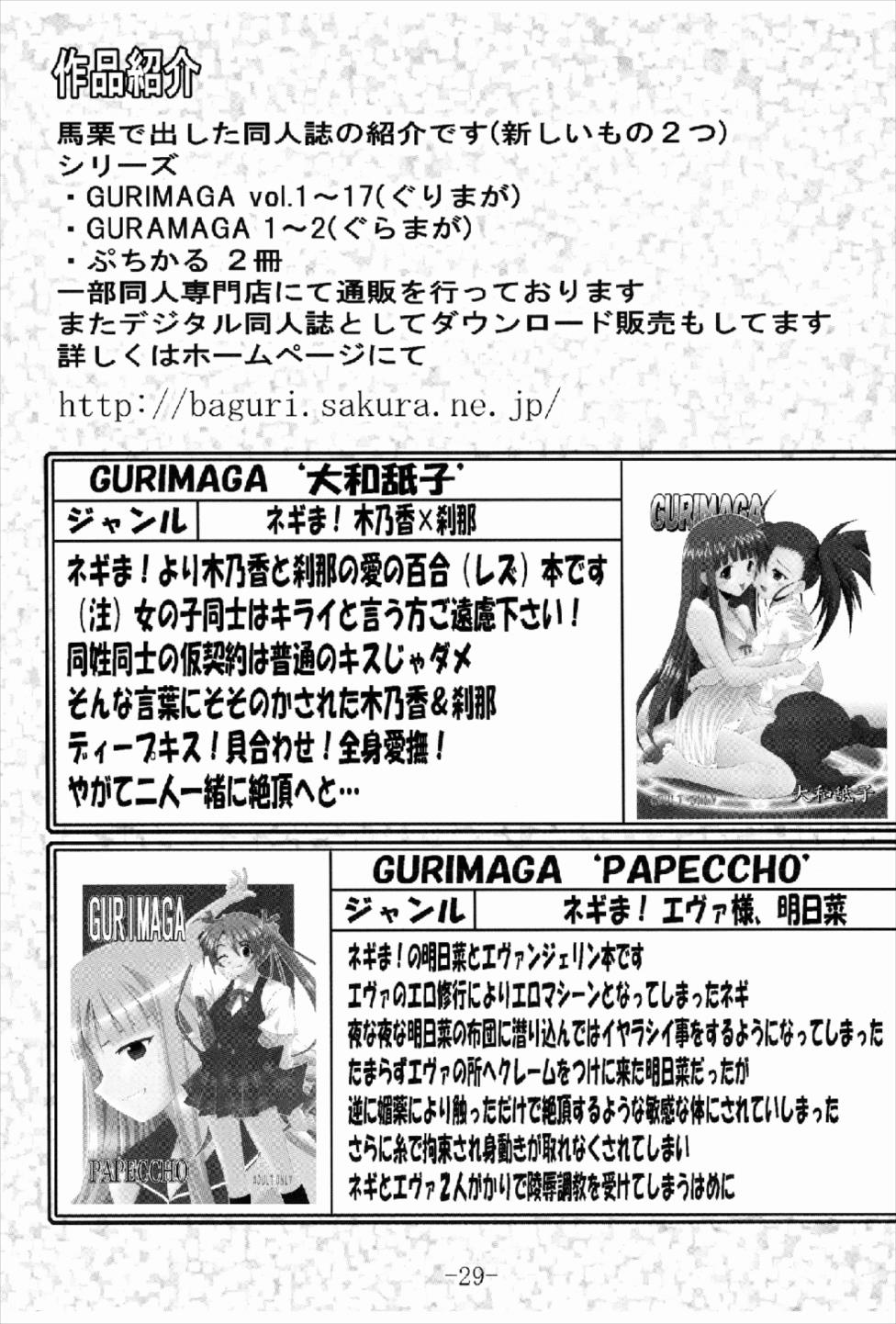 (C74) [Baguri Sangyou (Akichin)] GURIMAGA Setsuna no Mousou Yume Shibai (Mahou Sensei Negima!) - Page 29