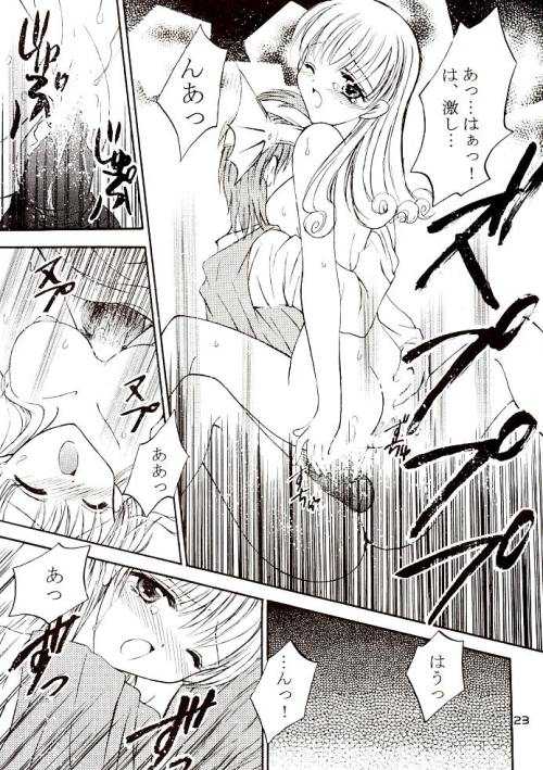 [ARC (Tamagawa Yukimaru)] Yume ga Owaru Toki (Dragon Quest IV) - Page 22