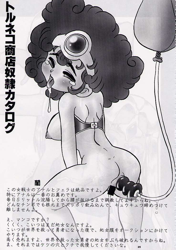 (C57) [GADGET (Various)] DRAGONQUEST nirvana (Dragon Quest) - Page 24
