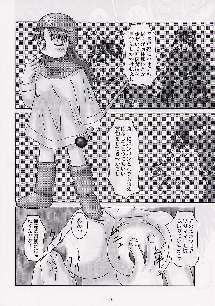 (C57) [GADGET (Various)] DRAGONQUEST nirvana (Dragon Quest) - Page 27