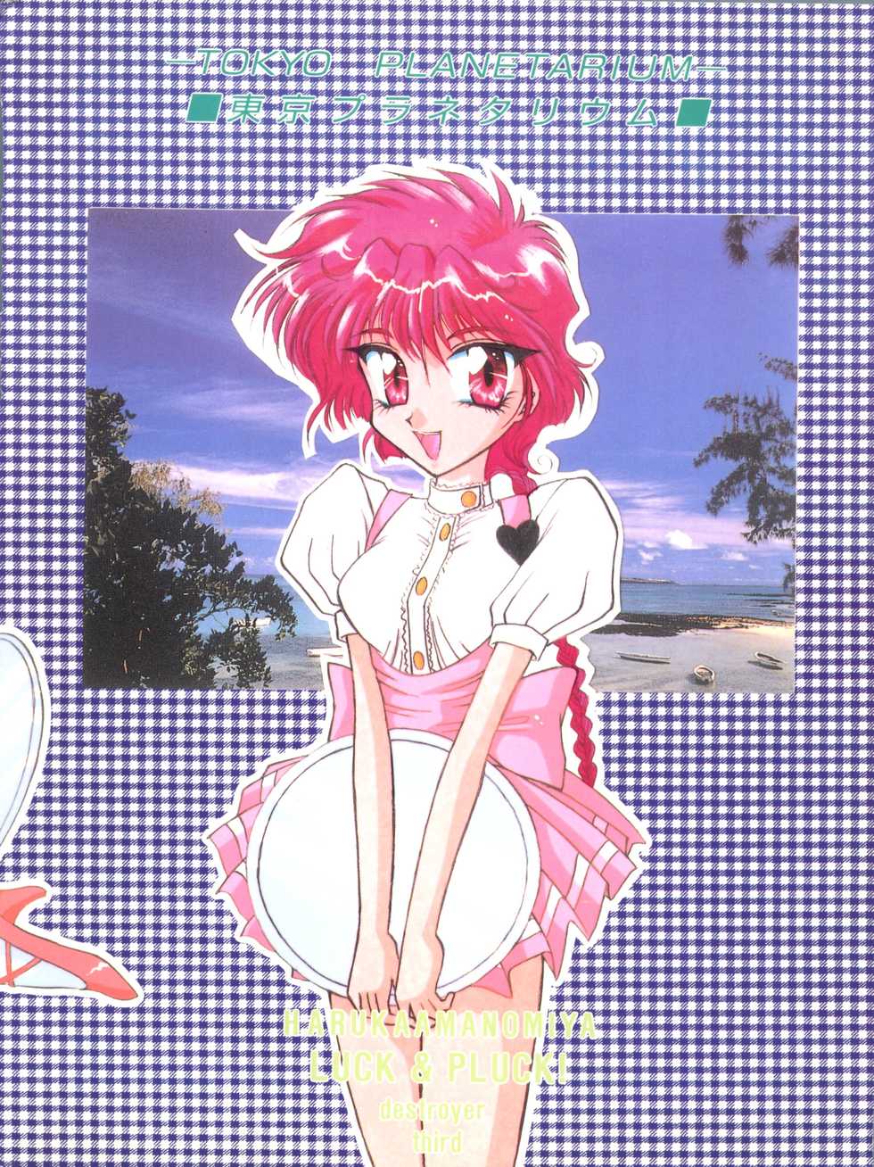 (C48) [LUCK&PLUCK!Co. (Amanomiya Haruka)] Tokyo Planetarium (Magic Knight Rayearth) - Page 36