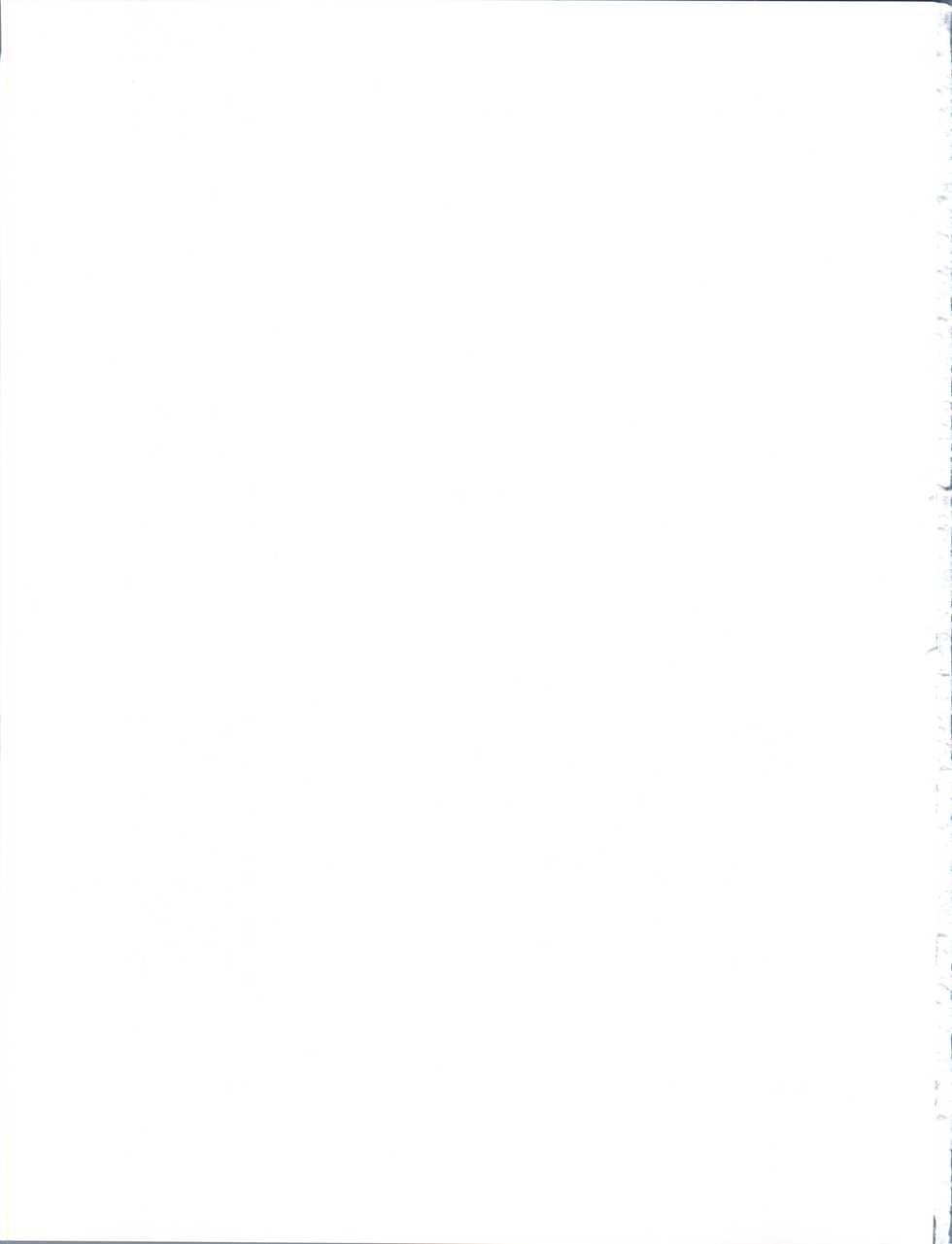 (C60) [K.H.R (Kohitsuji)] Tsuiraku Tenshi (Angelic Layer) - Page 35