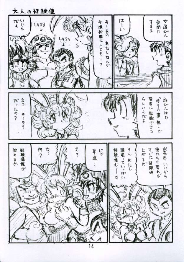 (C62) [Niitakayama Tozantai (Furukawa Yasushi)] Botsu Linus Kin -DQ Shimoneta Manga Gekijou- 3 [Junbigou] (Dragon Quest) - Page 14