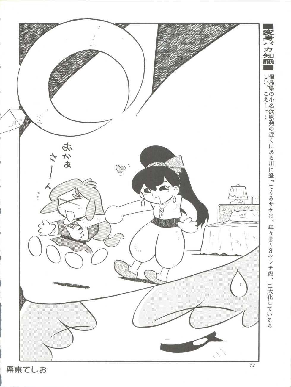 (C52) [Ganso Sonodaya (Various)] Chousen Ame Ver. 11.0 (Various) - Page 12