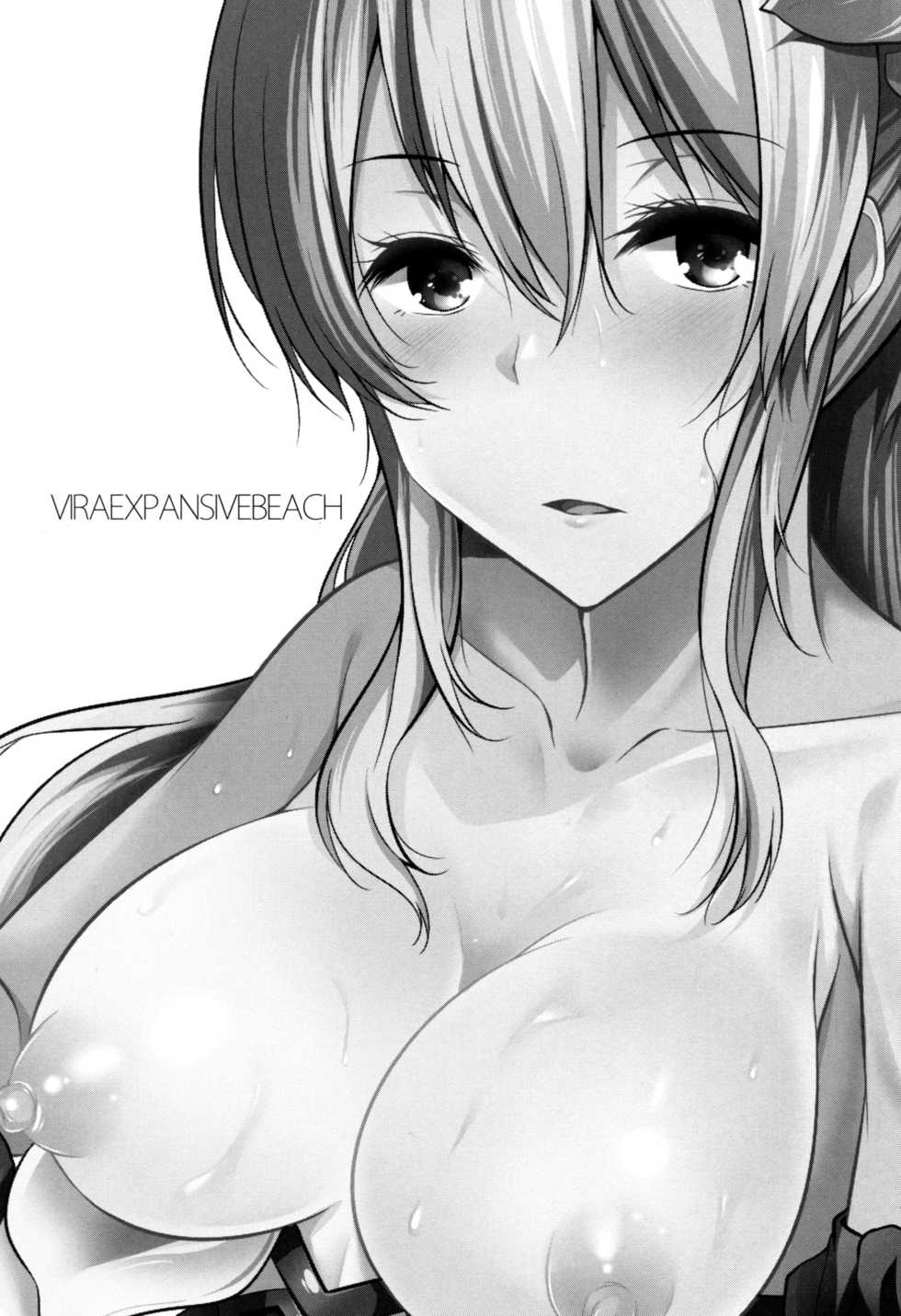 (C90) [RODEO (Yoshida)] VIRAEXPANSIVEBEACH (Granblue Fantasy) - Page 3
