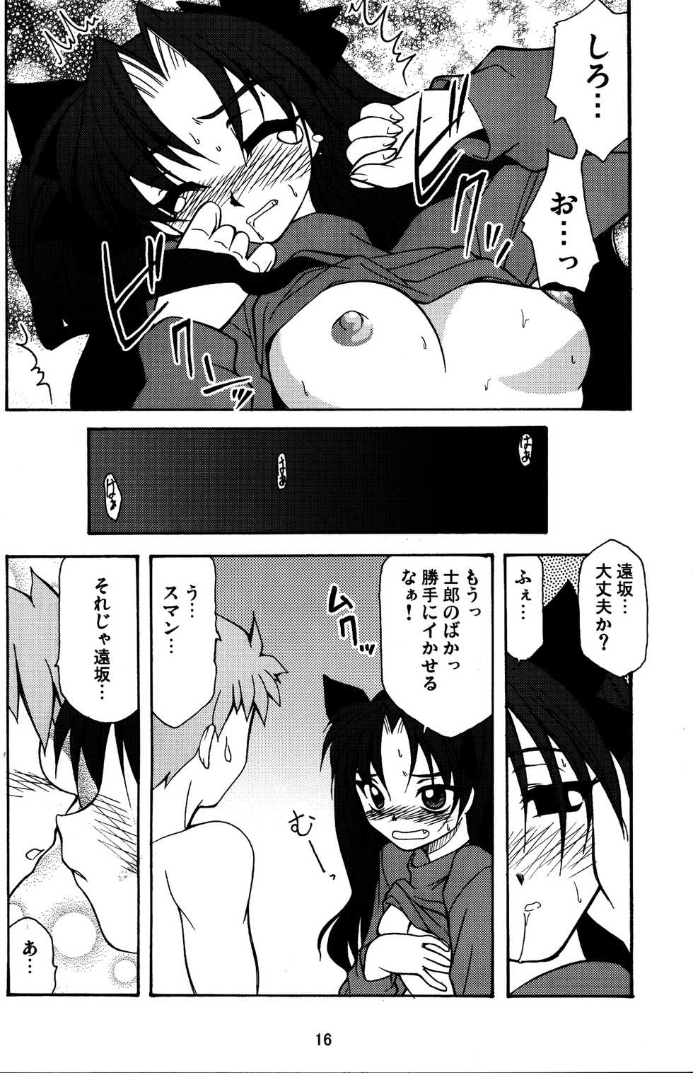 (C68) [Luck GEAR (Sakura Ryuuken)] Fate/Luck GEAR material (Fate/stay night) - Page 15