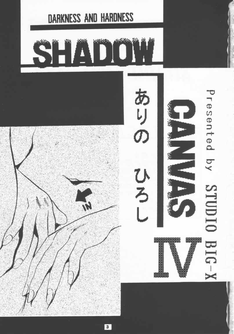 (CR19) [Studio BIG-X (Arino Hiroshi)] SHADOW CANVAS 4 (Various) - Page 2