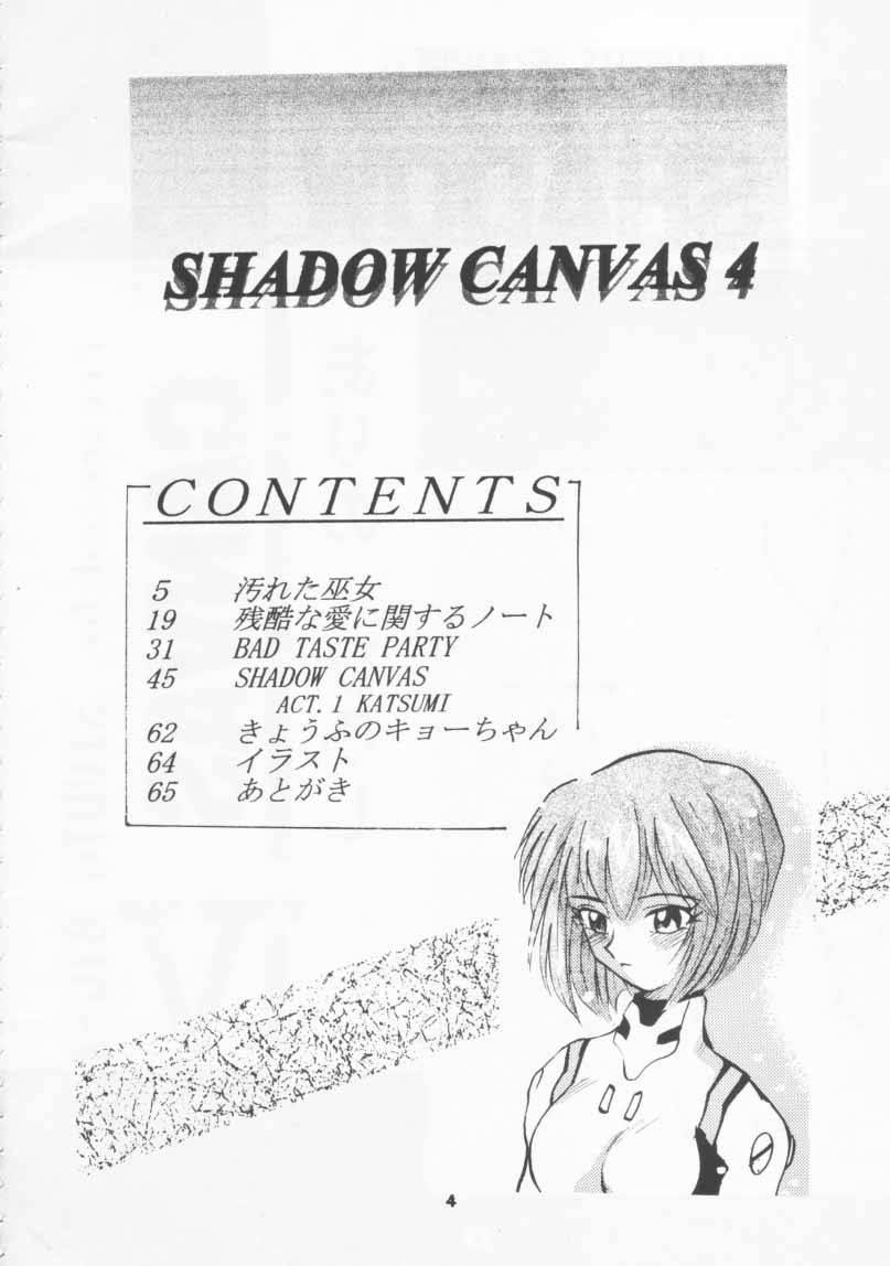 (CR19) [Studio BIG-X (Arino Hiroshi)] SHADOW CANVAS 4 (Various) - Page 3