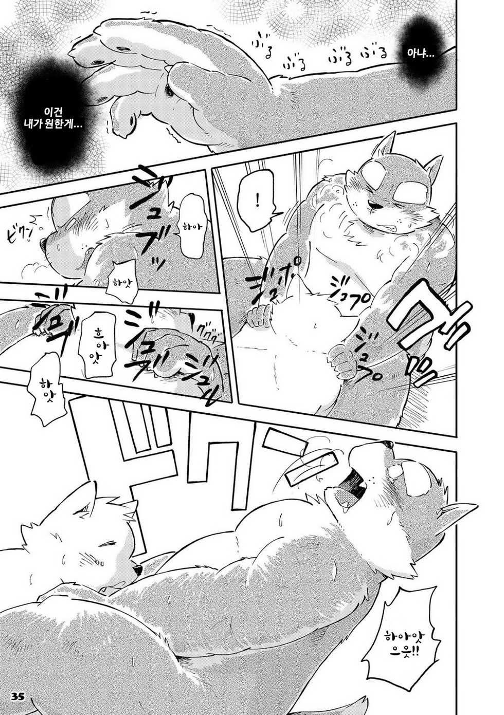 [Goroujirou (Kinoshita Jiroh)] Mekko Rarekko 5 | 멧코라렛코 5 [Korean] [포레버] [Digital] - Page 34