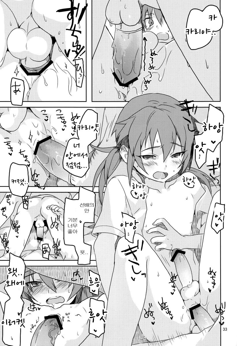 (C84) [AMEINIAS (Asami Kei)] Hito ni wa Soute (Inazuma Eleven GO) [Korean] - Page 32