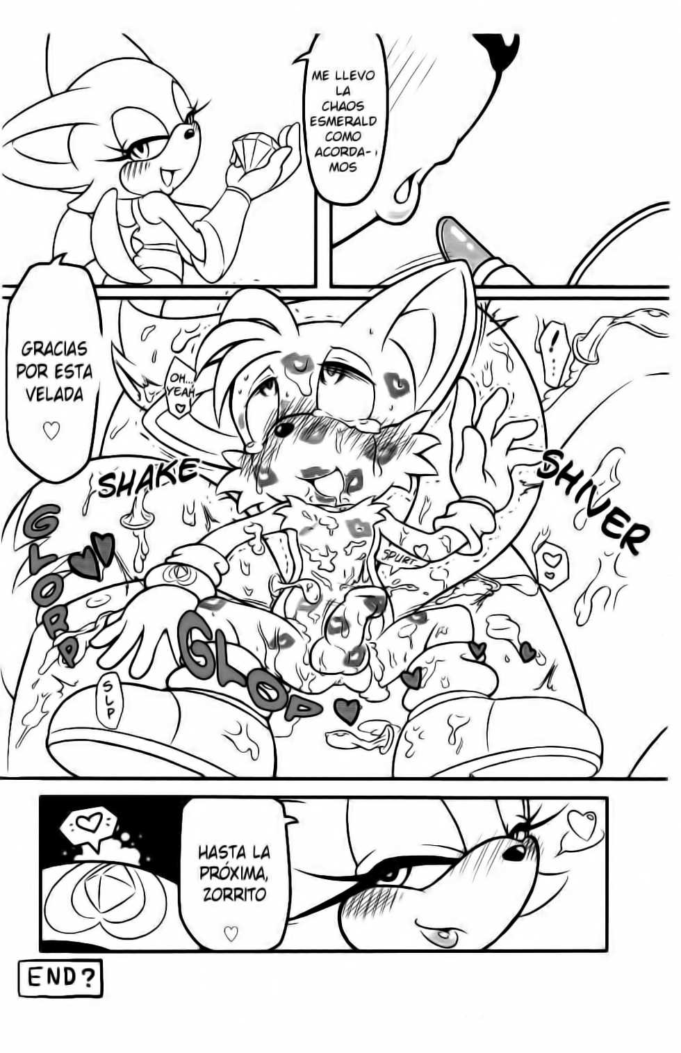 (Kemoket) [Furry☆Fandom (Michiyoshi)] Kemono no Kanzume Kanzenban (Sonic the Hedgehog) [Spanish] [LKNOFansub] [Decensored] - Page 21