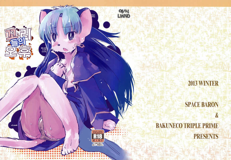 (C85) [Space Baron, Bakuneko''' (MATRA-MICA)] Shippo-tachi no Gogo (Tail Concerto) [Korean] [LWND] - Page 1