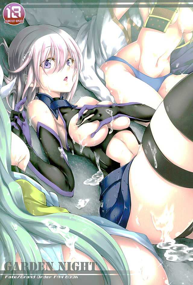 (SC2016 Winter) [Jet-Black Baselarde (Kuno Touya)] GARDEN NIGHT (Fate/Grand Order) [Chinese] [夏姬霸汉化组] - Page 2