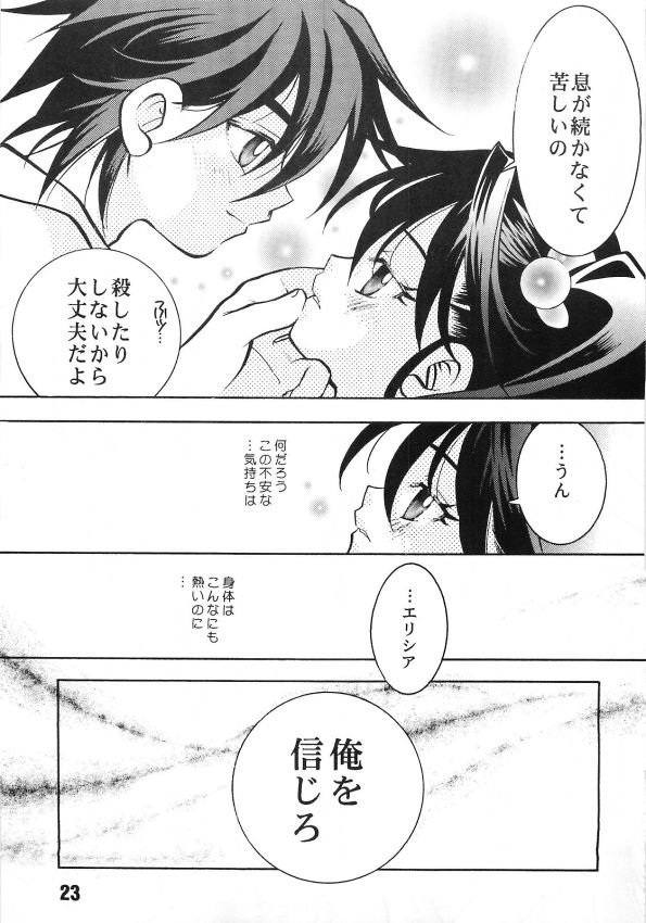 (SC15) [Yuusha Densetsu (Mayumori Mei)] Roto no Hanayome Dai 1 Ya (Dragon Quest Retsuden Roto no Monshou) - Page 21