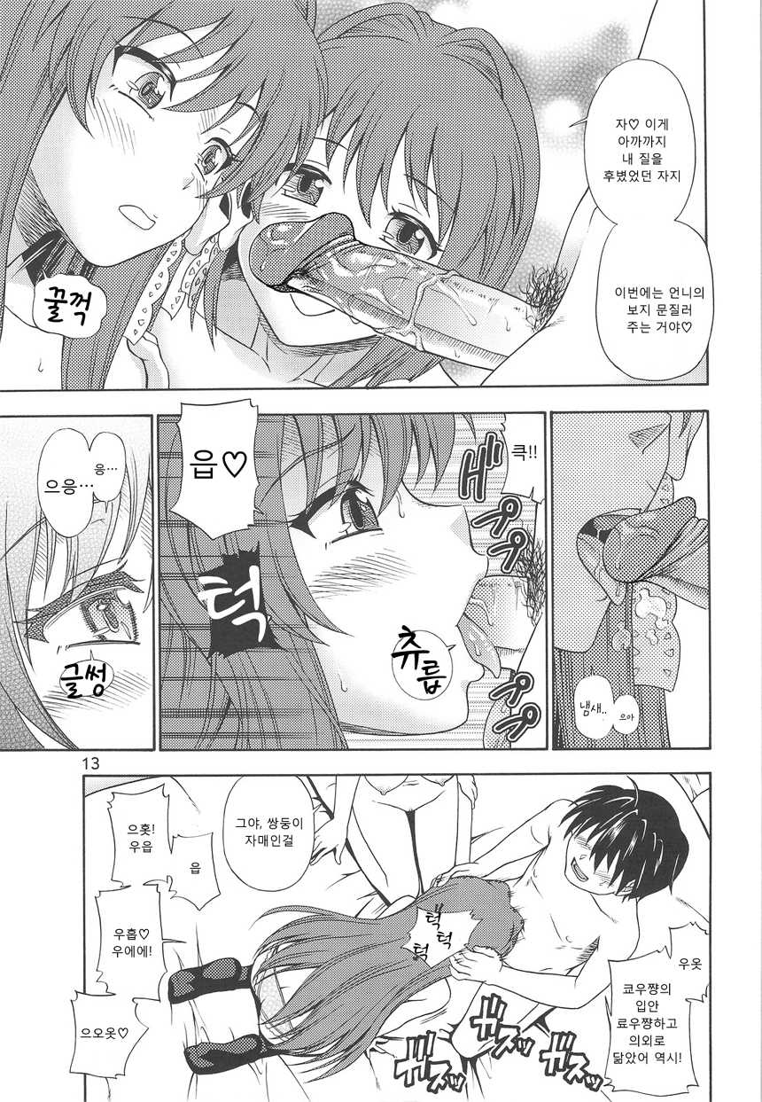 (COMIC1☆3) [Kensoh Ogawa (Fukudahda)] Fujibayashi Nado - Fujibayashi Twins After Story | 후지바야시 나드 (Clannad) [Korean] [rutD] [Decensored] - Page 12