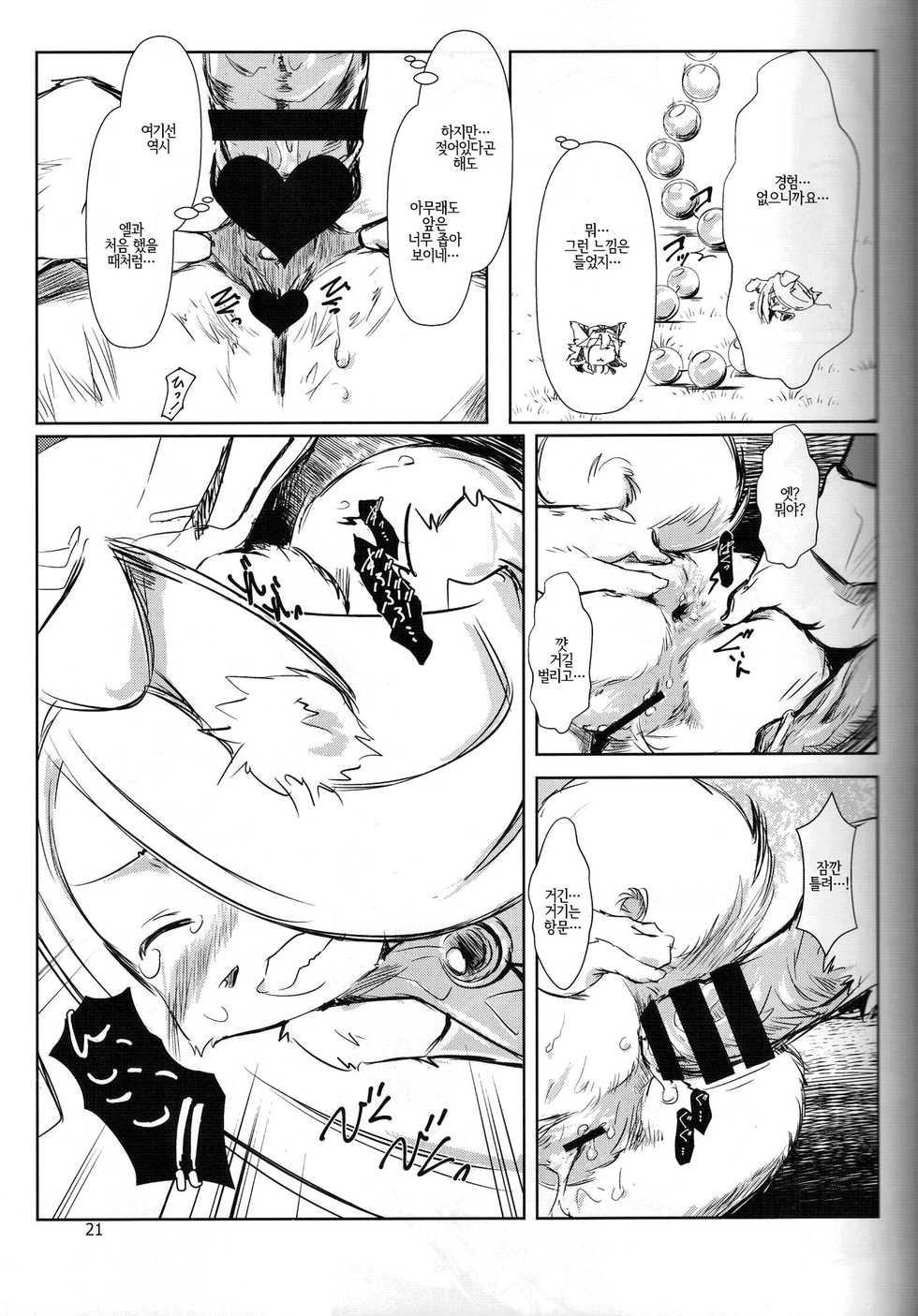 (C87) [Quad Prime (MATRA-MICA)] 219 Days Tale | 219 데이즈 테일 (Solatorobo) [Korean] [LWND] - Page 20