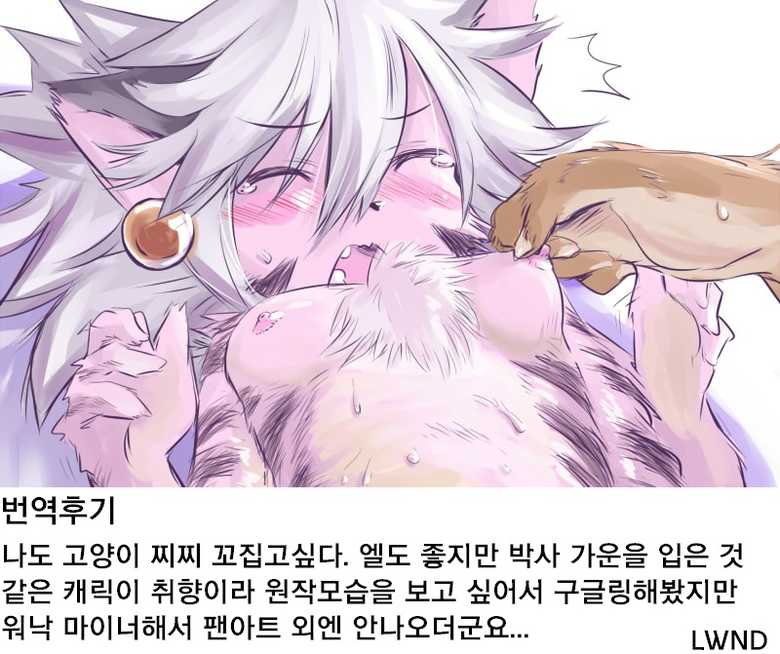 (C87) [Quad Prime (MATRA-MICA)] 219 Days Tale | 219 데이즈 테일 (Solatorobo) [Korean] [LWND] - Page 27