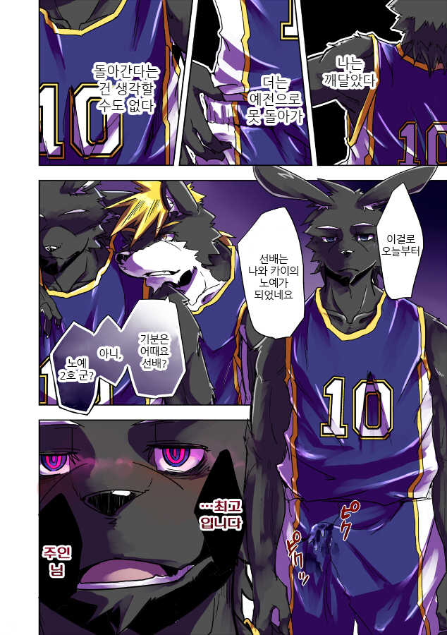 [Natsuiro Laika (Ginnosuke)] Inu no Shitsukekata [Korean] [Digital] - Page 38