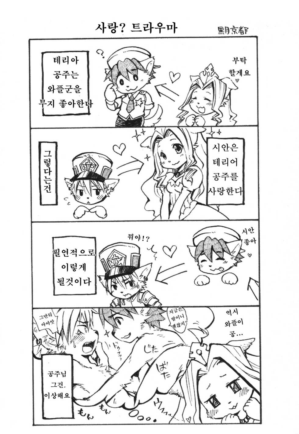 (C82) [096 (Ransyou=Zero)] W/P (tail concerto) [Korean] [강루스페] - Page 3