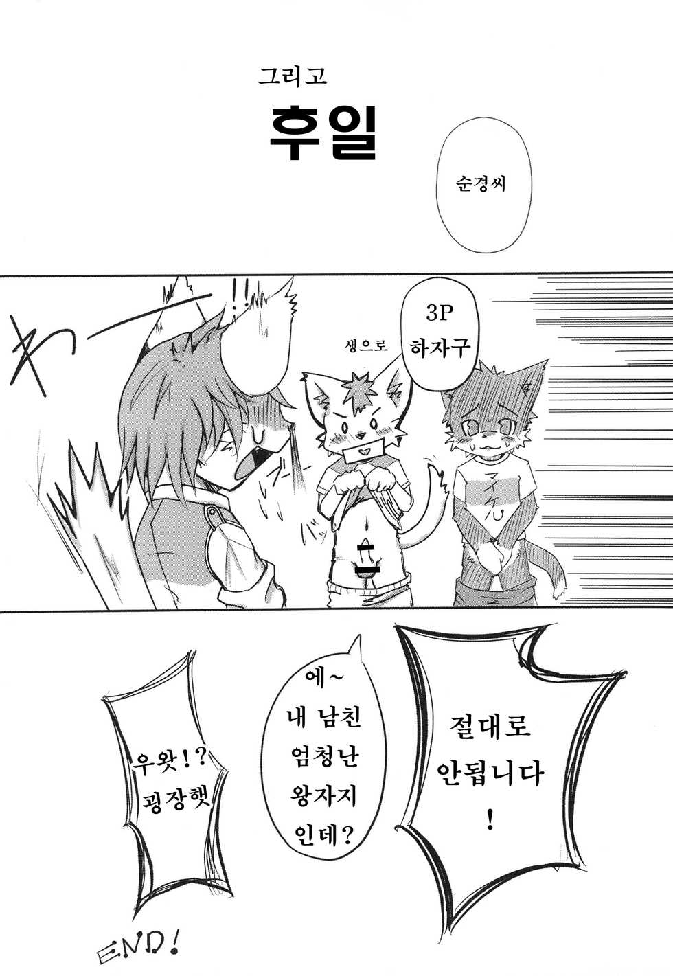 (C82) [096 (Ransyou=Zero)] W/P (tail concerto) [Korean] [강루스페] - Page 15