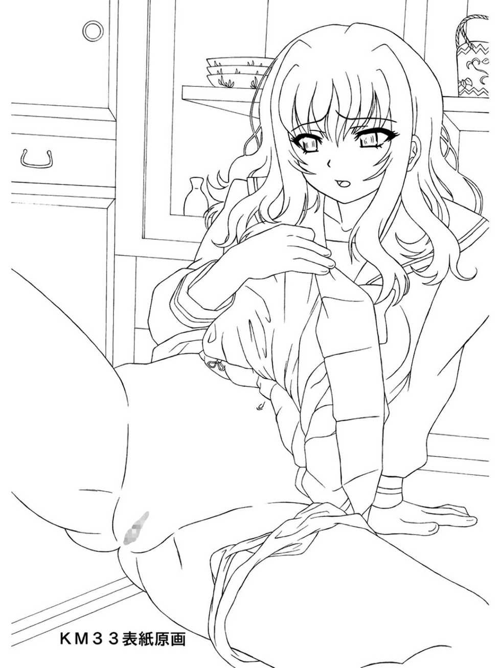 (C79) [Shiroganeya (Ginseiou)] KM33 - Nerawareta Kaerimichi (HeartCatch PreCure!) - Page 2