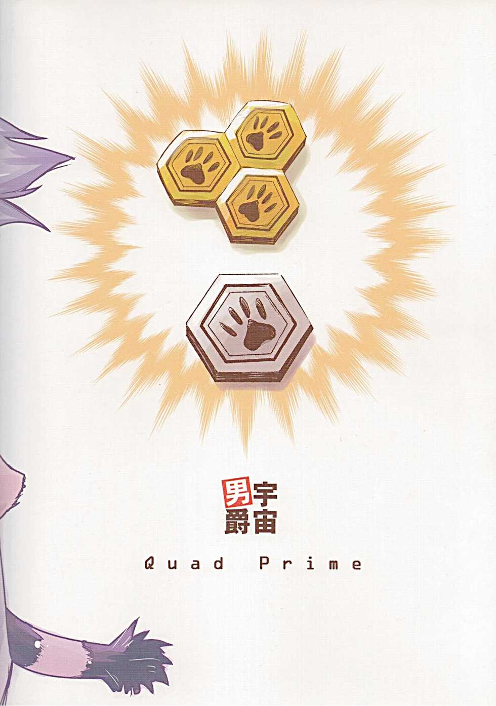 (C87) [Quad Prime (MATRA-MICA)] 219 Days Tale (Solatorobo) - Page 26