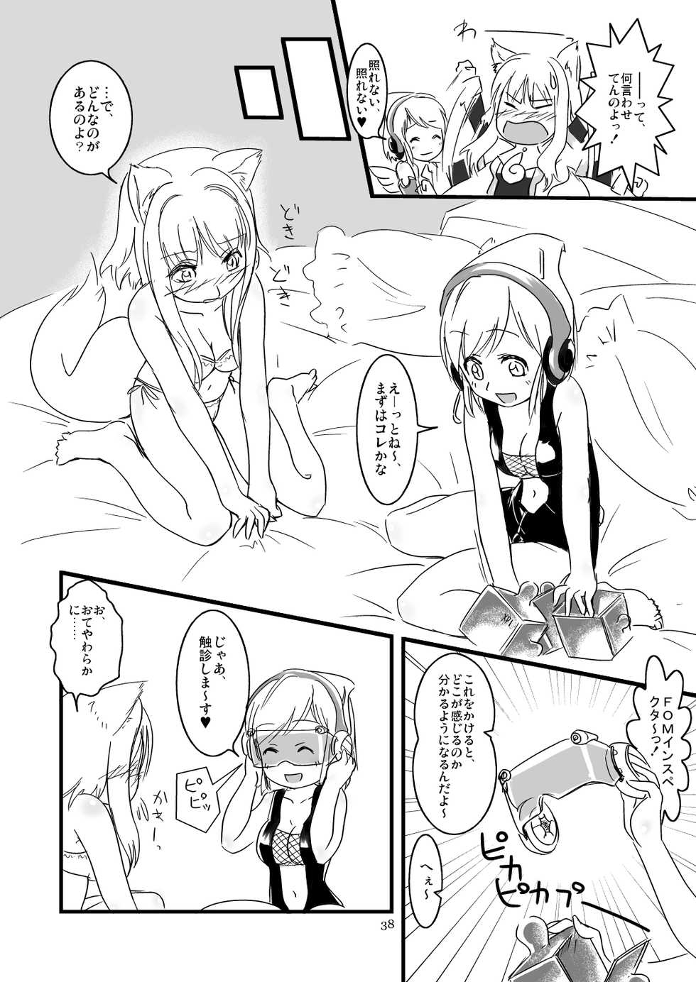 [Moezillagumi (Piro)] ふぉくす子完全攻略ガイド ～拡張機能を使いこなす！～ - Page 13