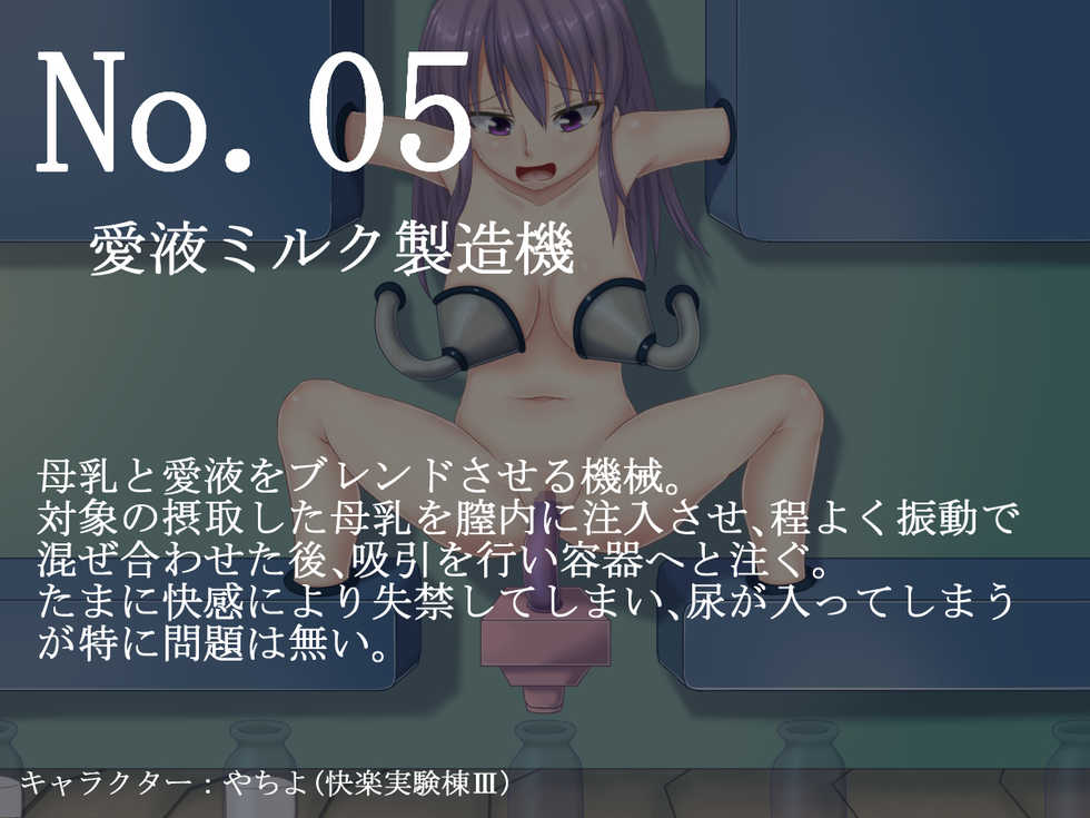 [Seigi no Yakata (Hiyozakura)] Kairaku Jikkentou III - Page 27