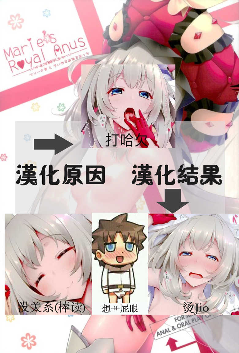 (C93) [HEART OF GREEN (Midoriiro no Shinzo)] Marie's Royal Anus (Fate/Grand Order) [Chinese] [祈花汉化组] - Page 15