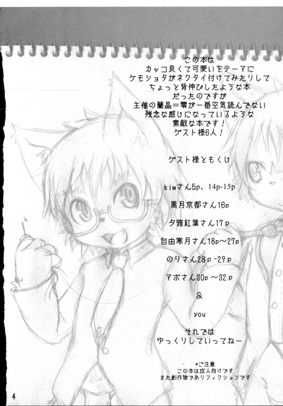 (C78) [096 (Ransyou=zero)] Dima&Arze2010 - Page 3