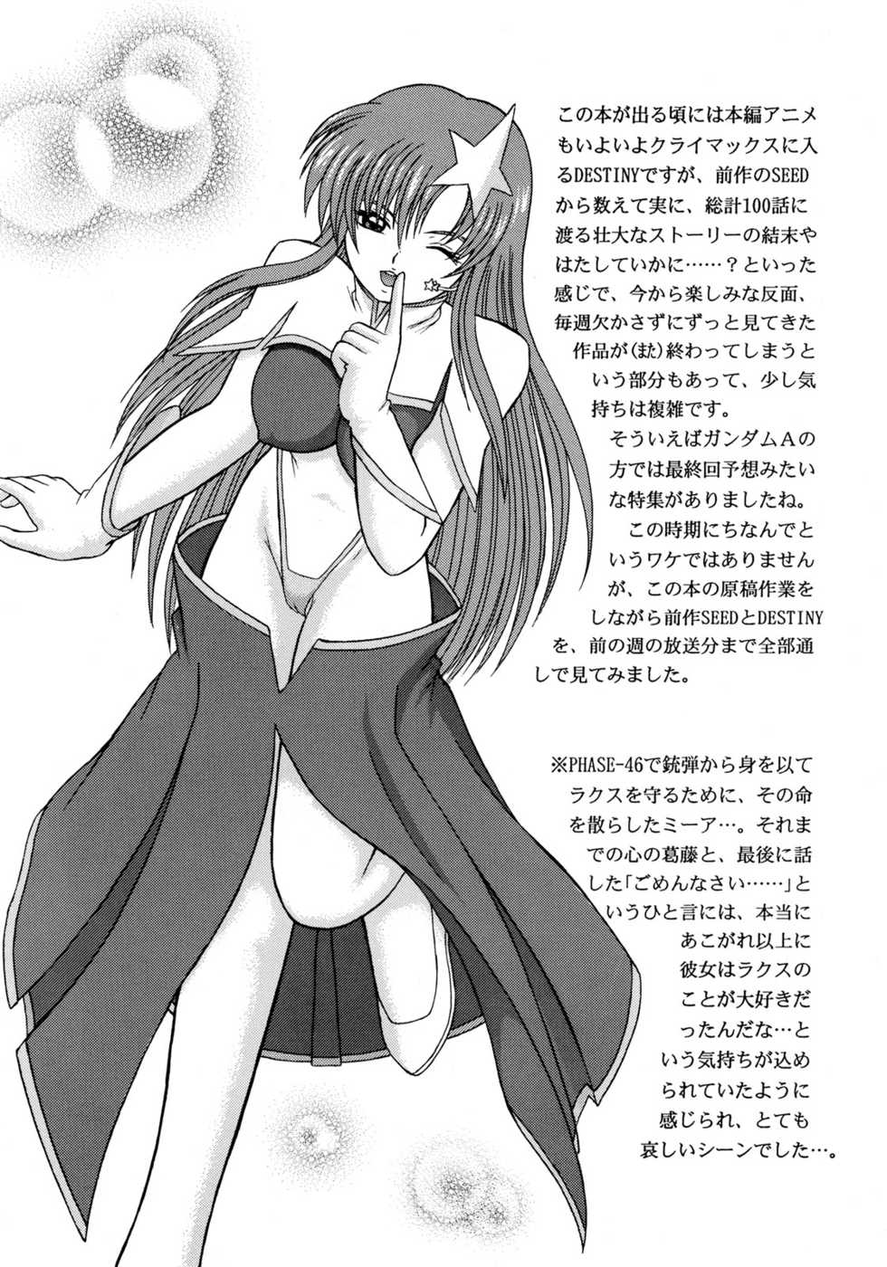 (SC29) [D'ERLANGER (Yamazaki Show)] Dispersion (Gundam SEED DESTINY) - Page 14