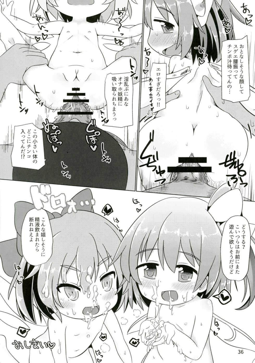 [Hermit9 (Various)] Touhou Doujiroku (Touhou Project) [Digital] - Page 35