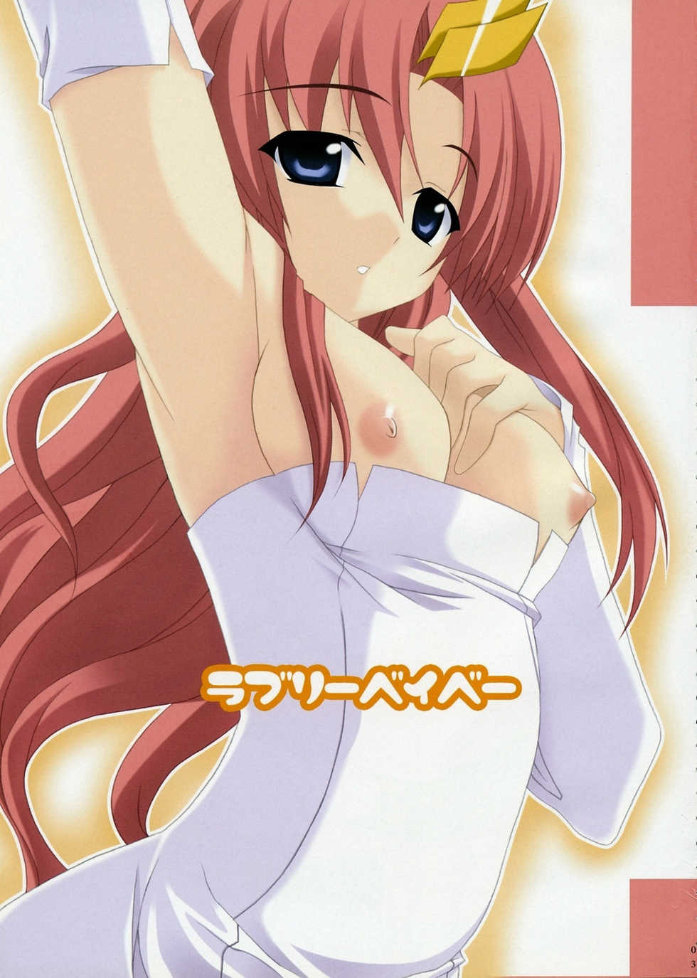 (C68) [Lapiss & MiyaMori (K/DASH & Kusano Yuu)] Lovely Baby 4 (Gundam Seed Destiny) - Page 3