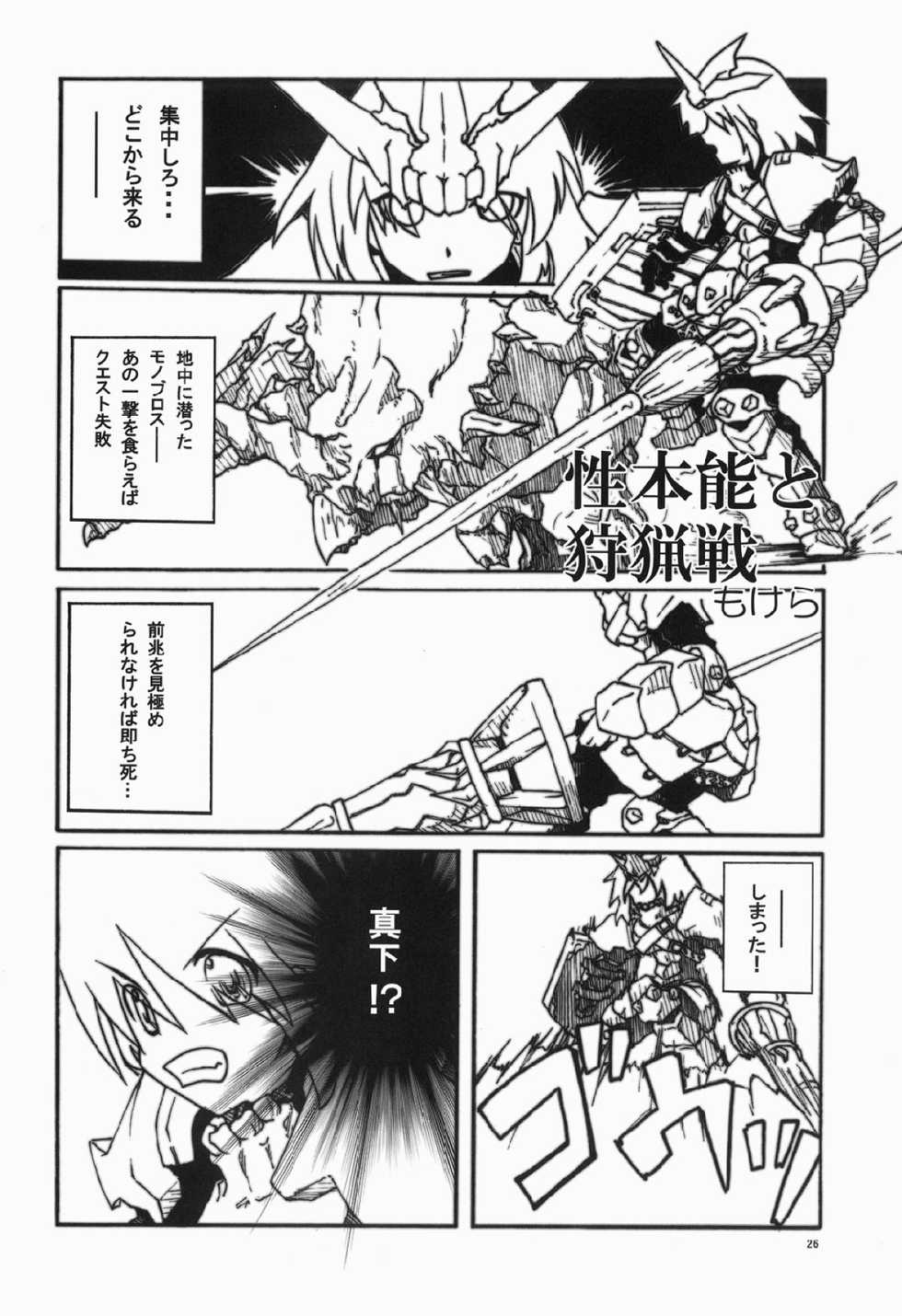 (C76) [Kesshoku Mikan (Anzu, ume)] CHROMIUM EDELWEISS (Monster Hunter) - Page 25