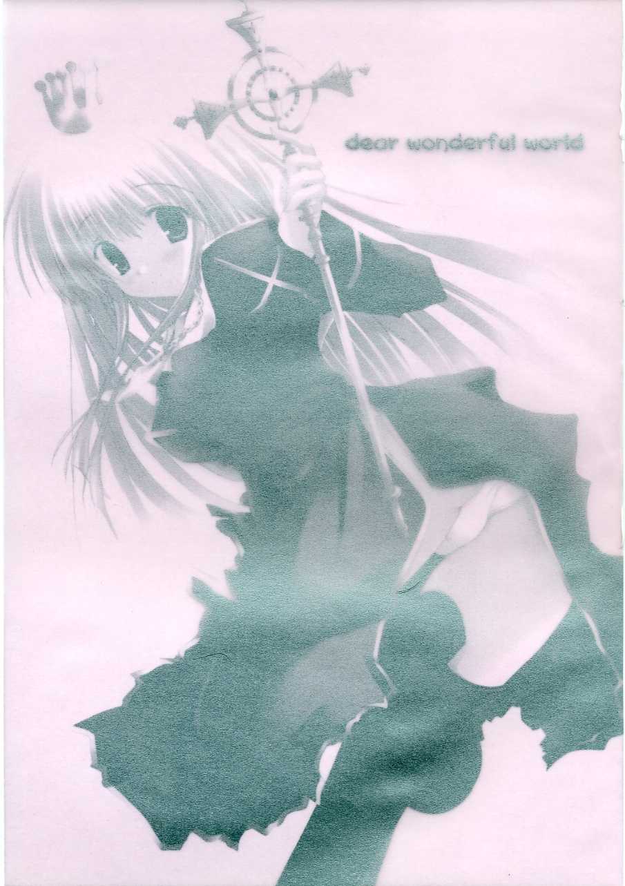 (C68) [A.L.C (Kannazuki Nem)] DEAR WONDERFUL WORLD (Ragnarok Online) - Page 2