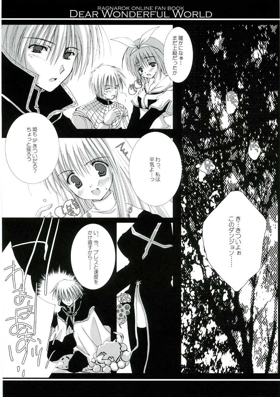 (C68) [A.L.C (Kannazuki Nem)] DEAR WONDERFUL WORLD (Ragnarok Online) - Page 12