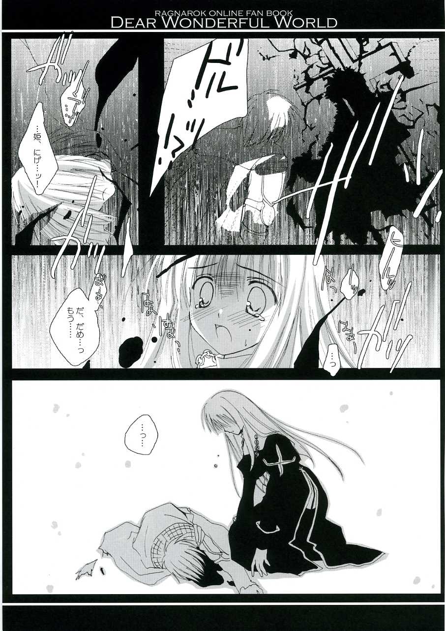 (C68) [A.L.C (Kannazuki Nem)] DEAR WONDERFUL WORLD (Ragnarok Online) - Page 13