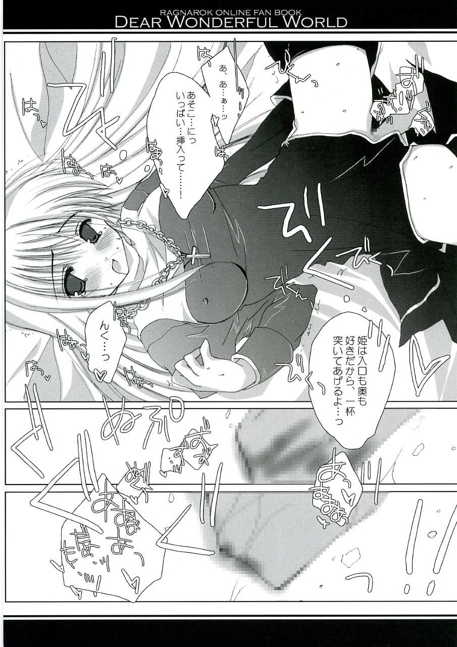 (C68) [A.L.C (Kannazuki Nem)] DEAR WONDERFUL WORLD (Ragnarok Online) - Page 21