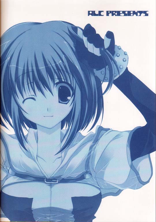 (C67) [A.L.C (Kannazuki Nem)] Heavenly Kiss 3 (Ragnarok Online) - Page 18