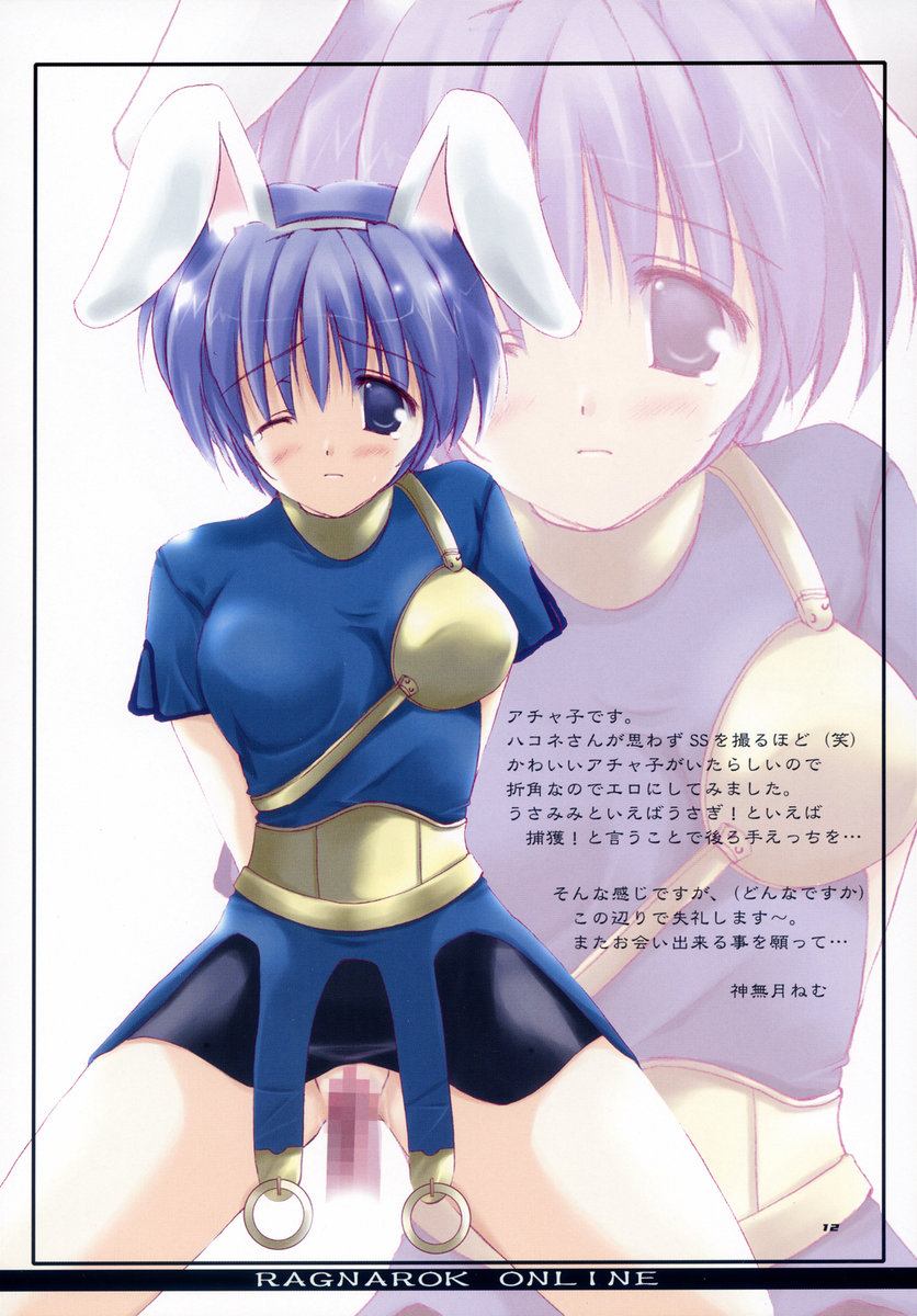 (CR34) [VISTA, A.L.C (Odawara Hakone, Kannazuki Nem)] Over Thrust!! (Ragnarok Online) - Page 11